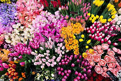 空岛生存经营冒险新游《Solarpunk》开启众筹 预定登陆多平台